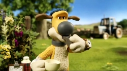 بره ناقلا (کلاه جدید بیتزر)